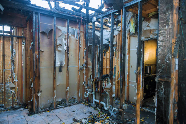 Professional Fire Damage Removal technician working in North New Hyde Park, NY